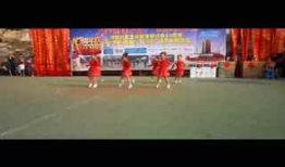 踏浪舞蹈视频,青春飞扬——舞蹈视频魅力解析